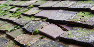 Wernyrheolydd roof repair costs